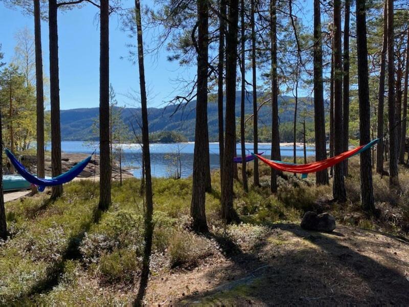 Vila Sinesoyni In Byglandsfjord - Evje Exteriér fotografie
